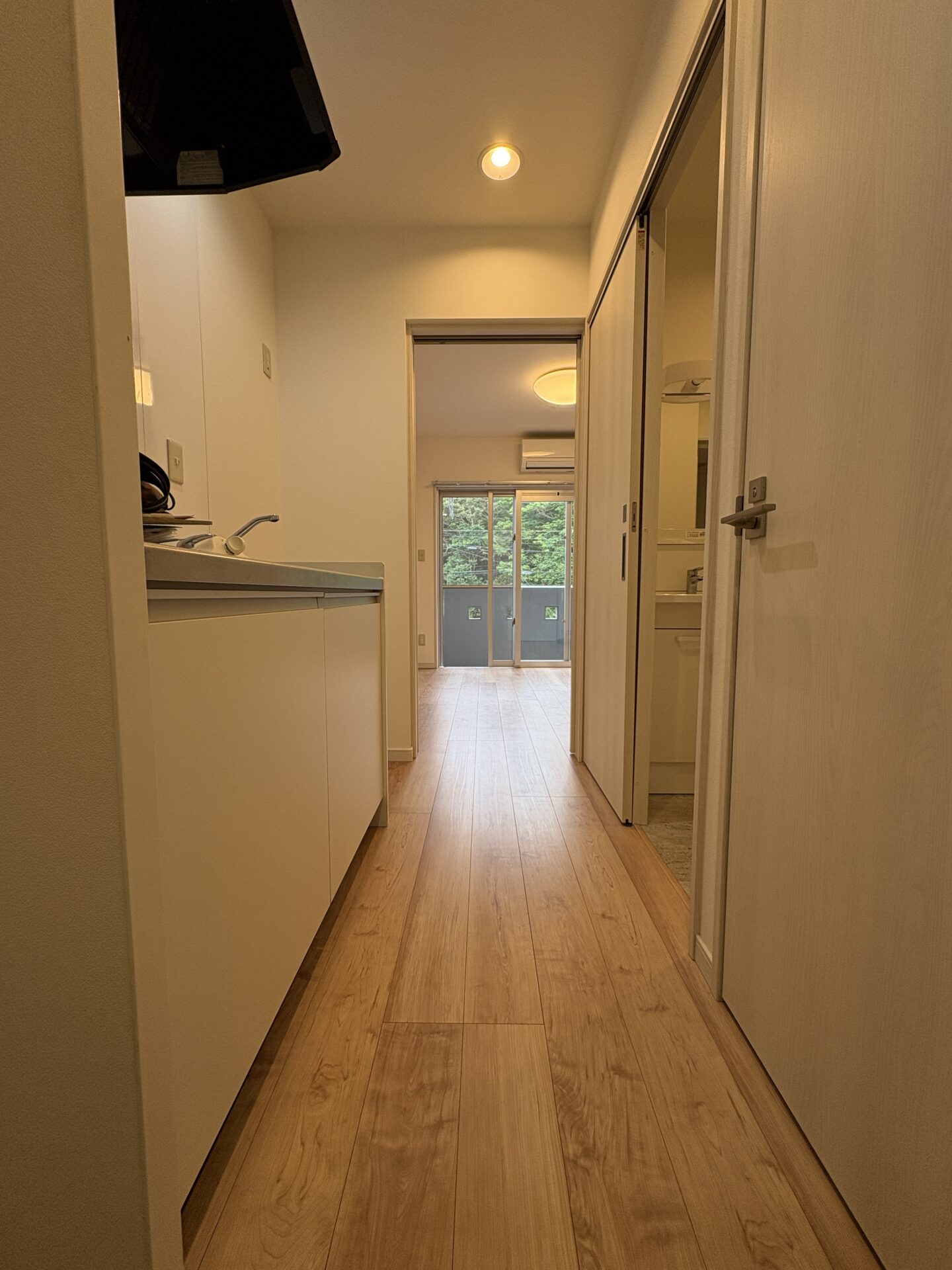 ▶洋室のドアを開放すれば明るさバッチリ