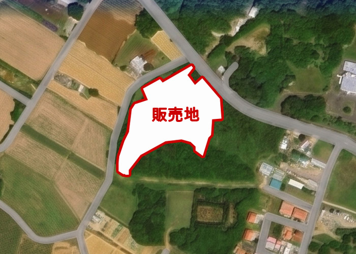 航空写真