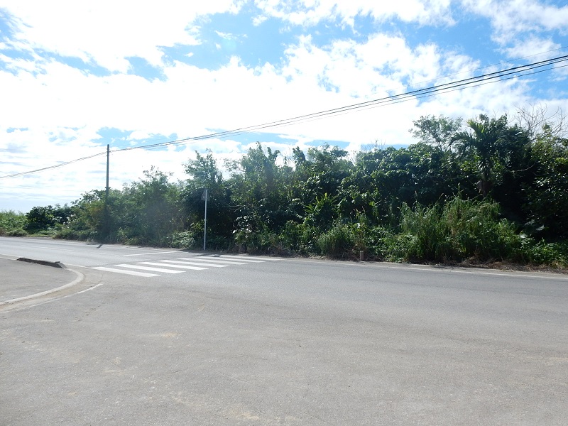 全面道路側から①