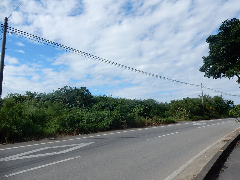 全面道路側から⑤